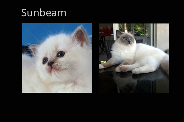 Portee_Sunbeam