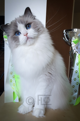 Tiara, 2 ans et demi