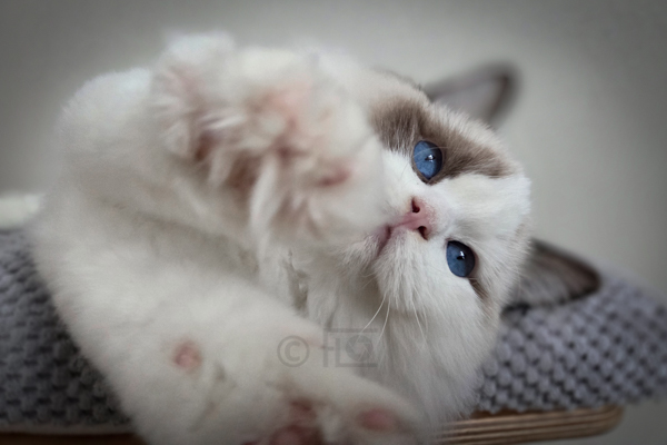 Ziconic, presque 4 mois