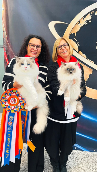 World Winner Show Amsterdam 2026